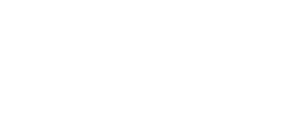 独自路線 You go your own way!